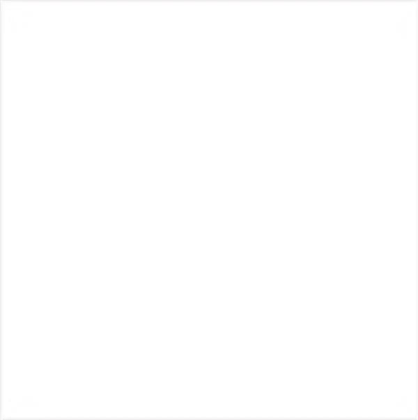 Fassa RX561 1.5mm Thin Coat 25kg tub