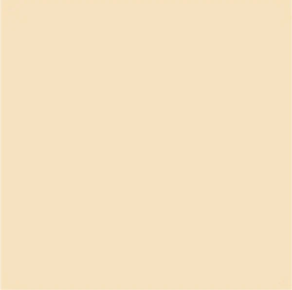 Fassa RX561 1.5mm Thin Coat 25kg tub