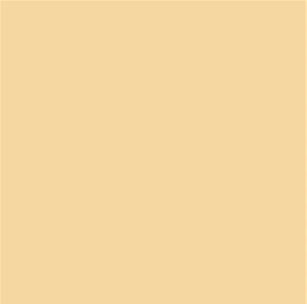 Fassa RX561 1.5mm Thin Coat 25kg tub