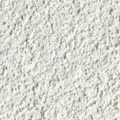 Fassa RX561 1.5mm Thin Coat 25kg tub