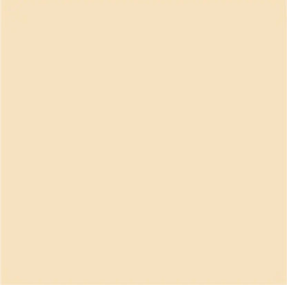 Fassa RX561 1.5mm Thin Coat 25kg tub