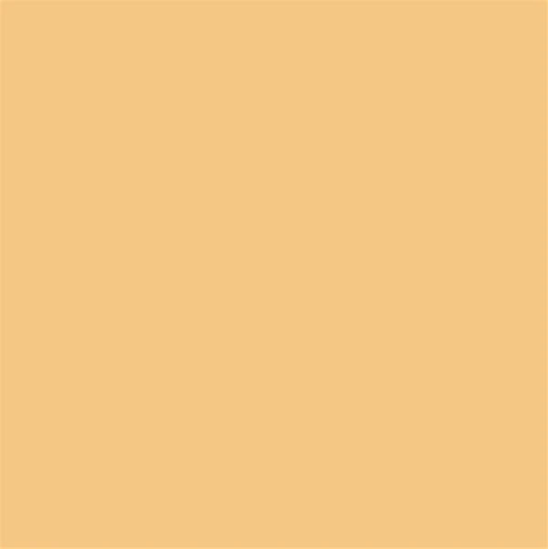 Fassa RX561 1.5mm Thin Coat 25kg tub