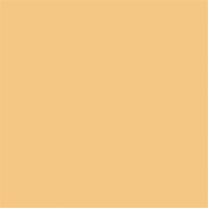 Fassa RX561 1.5mm Thin Coat 25kg tub