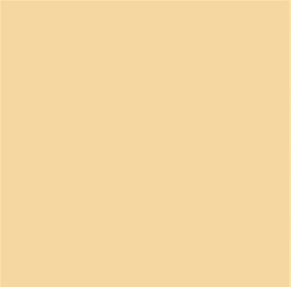 Fassa RX561 1.5mm Thin Coat 25kg tub