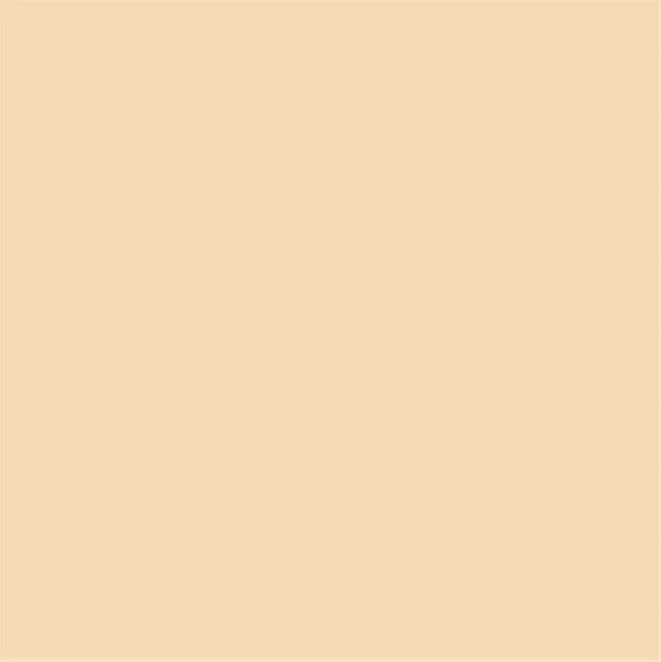 Fassa RX561 1.5mm Thin Coat 25kg tub