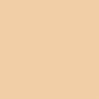 Fassa RX561 1.5mm Thin Coat 25kg tub